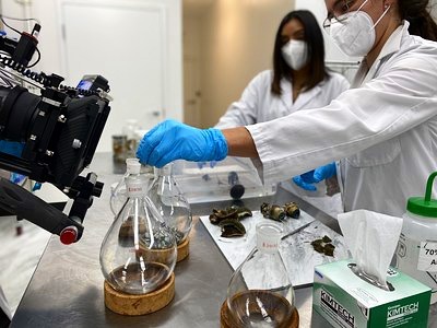 Numinus Wellness Los Angeles 1