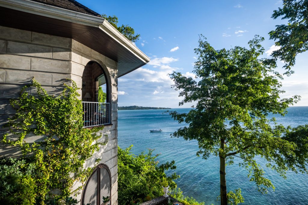 MycoMeditations Jamaica